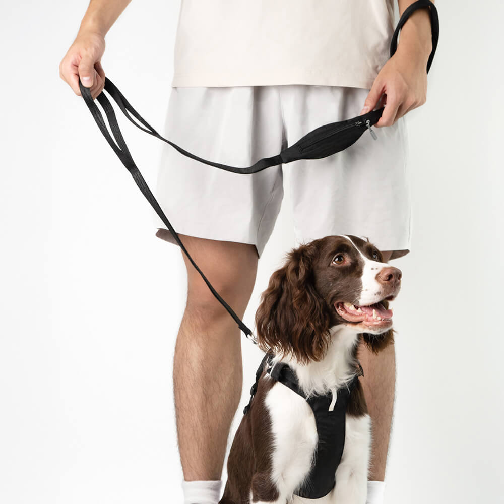 Adjustable Multi-Handle Dog Harness and Leash Kit