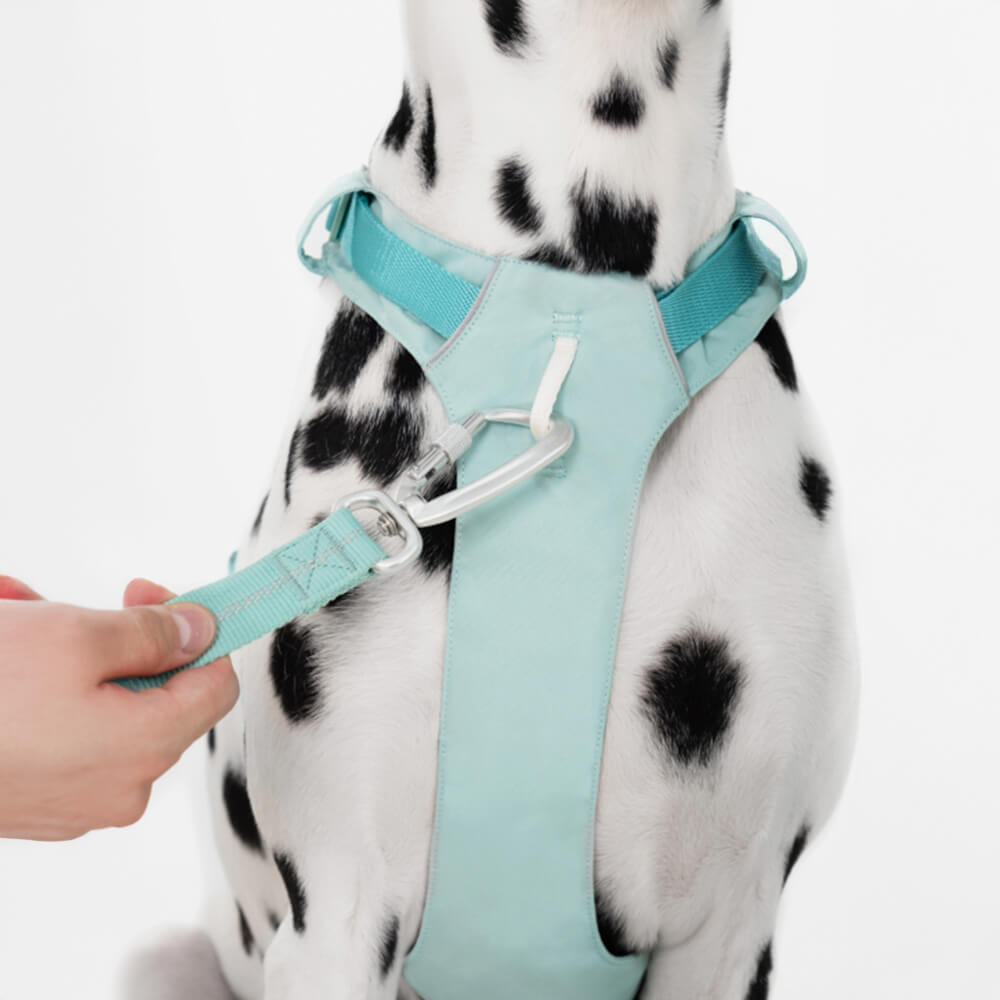 Adjustable Multi-Handle Dog Harness and Leash Kit