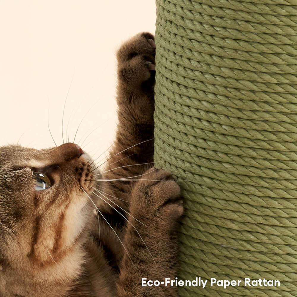 Bear-Ear Design Durable Paper-Rattan Large Cat Scratching Post