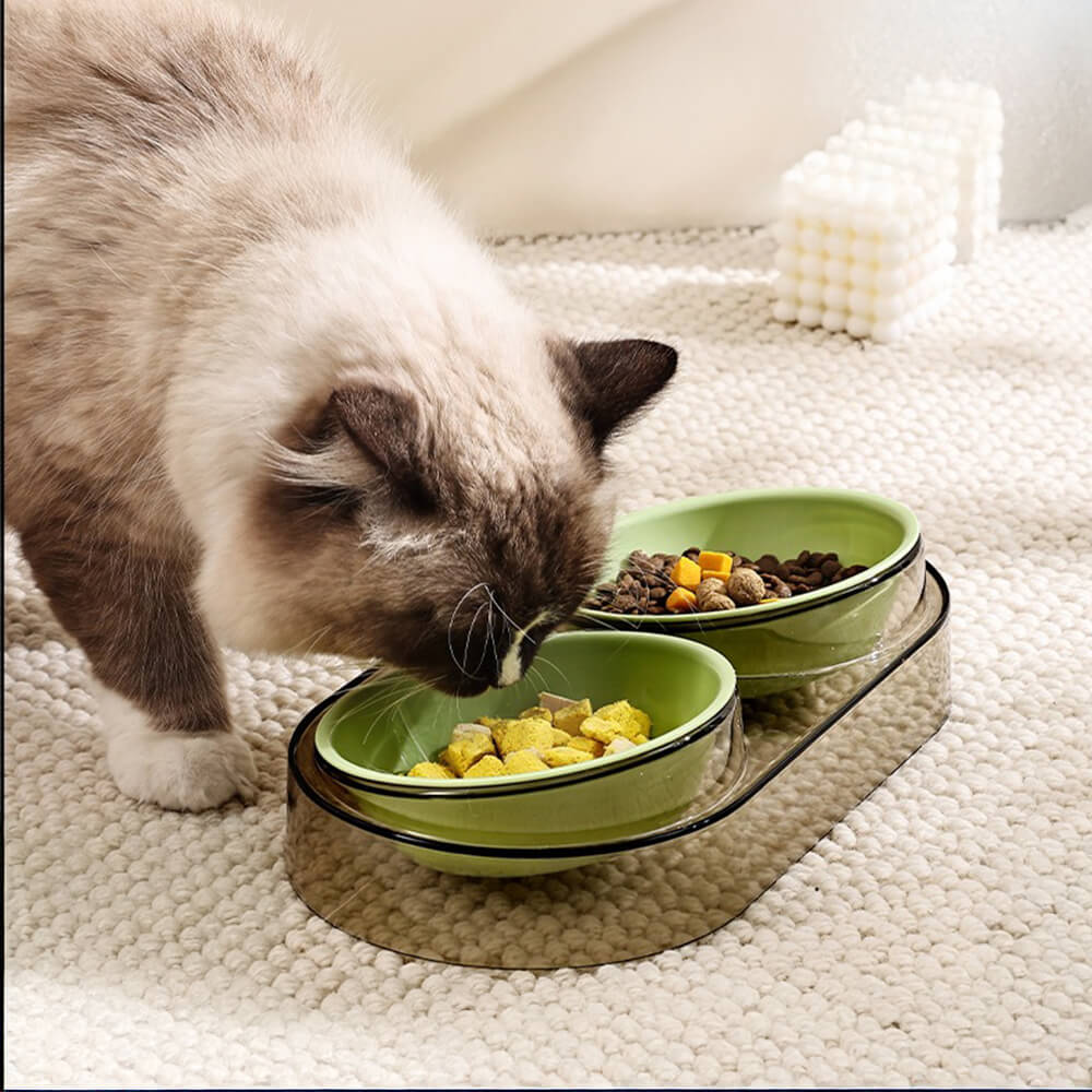 Double Bowl Neck Guard Washable Pet Bowl