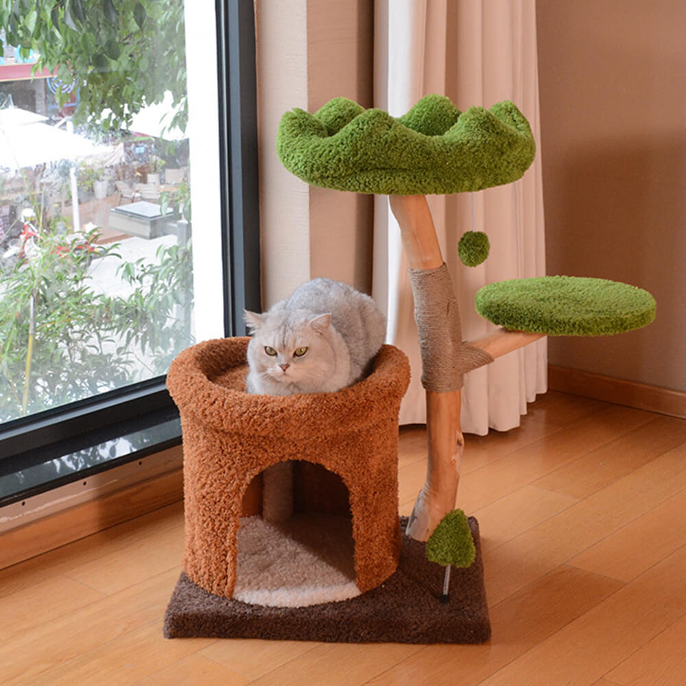 Forest-Inspired Tree Hollow Cat Cave Solid Wood Cat Tree