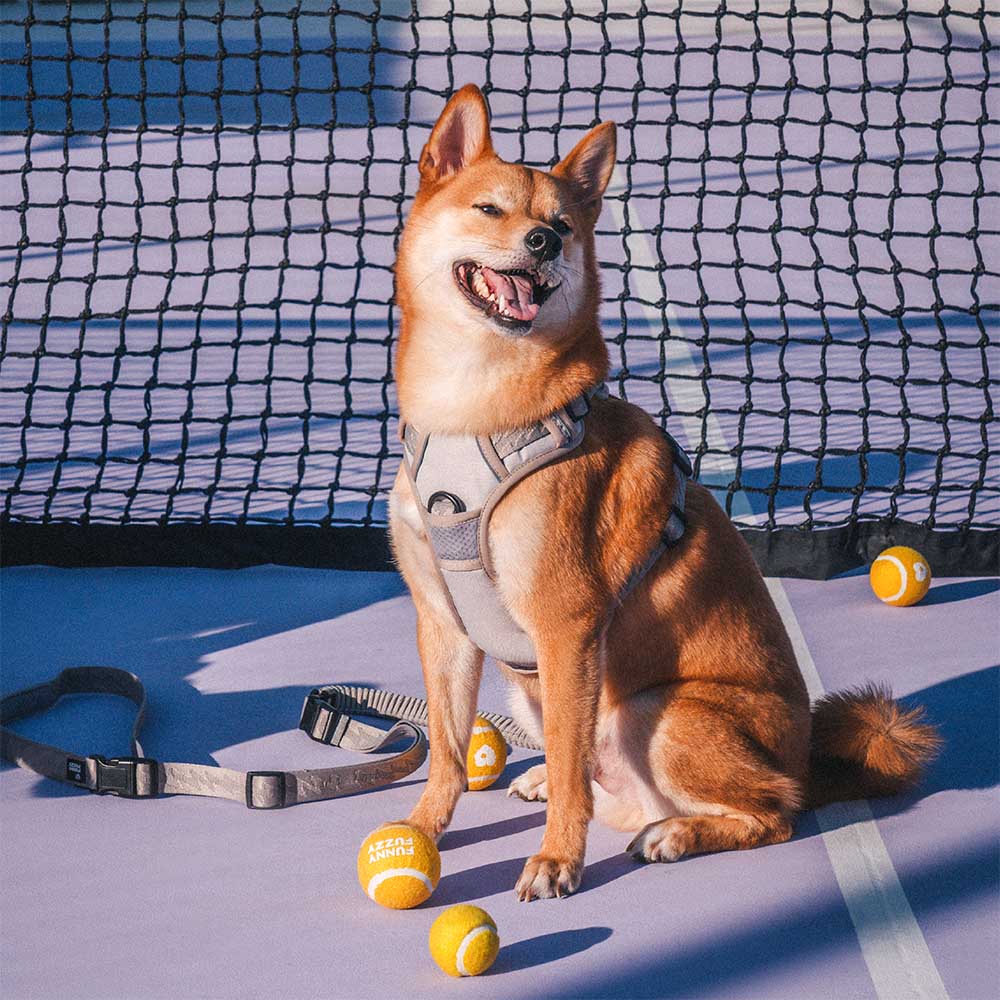 FUNNYFUZZY Harnais d'extérieur réglable et réfléchissant pour chien - Flexi Walker