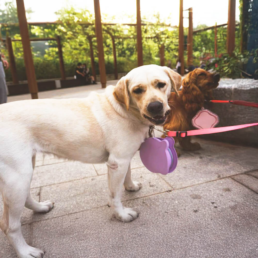 Travel Silicone Non-Toxic Portable Collapsible Dog Water Bowl