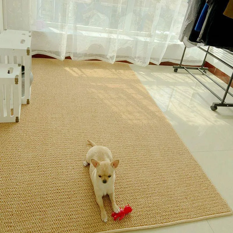 Tapis pour animaux de compagnie en faux sisal, tapis de chambre résistant aux rayures