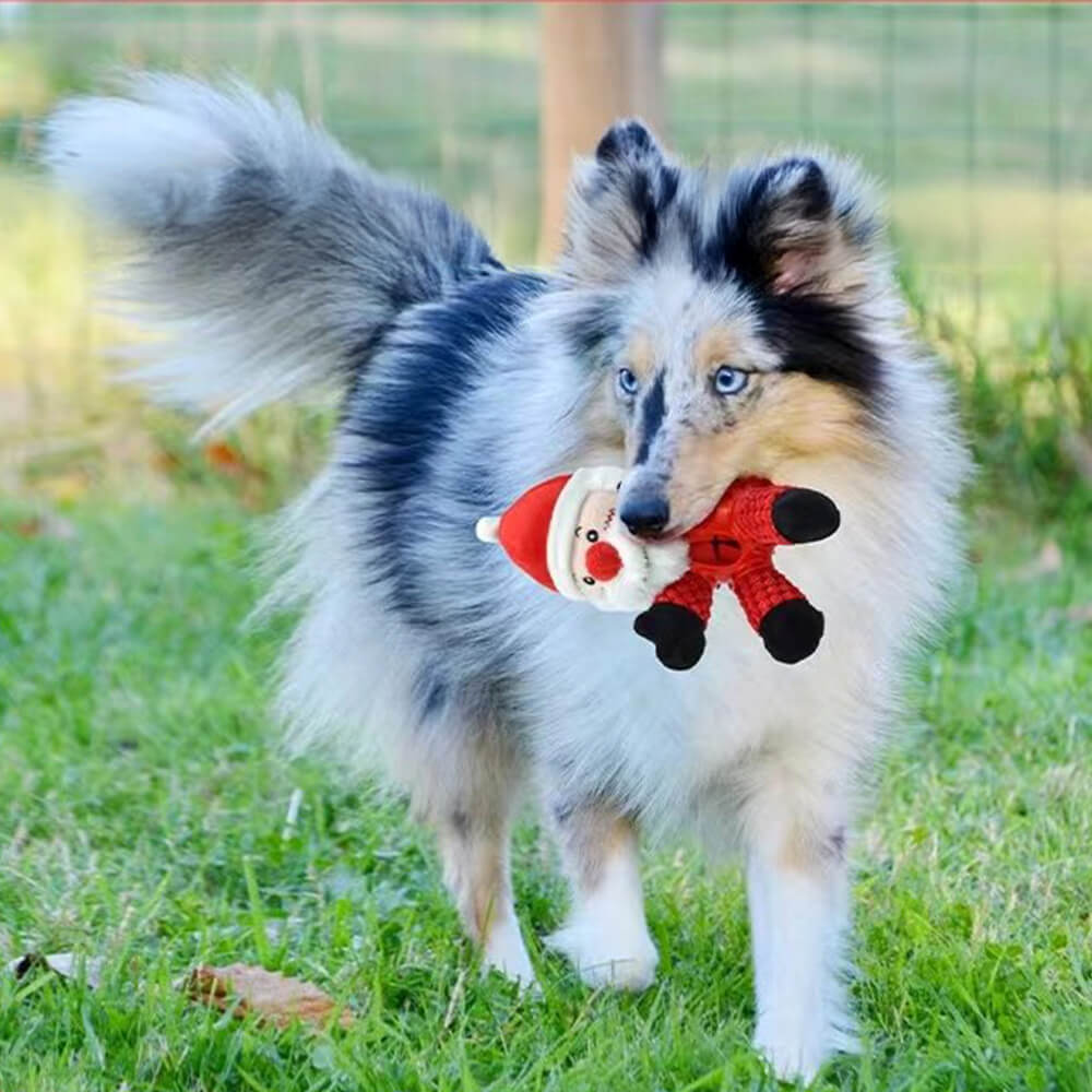 Weihnachtspuppe, Gummi, langsames Fressen, Quietscher, interaktives Hundespielzeug