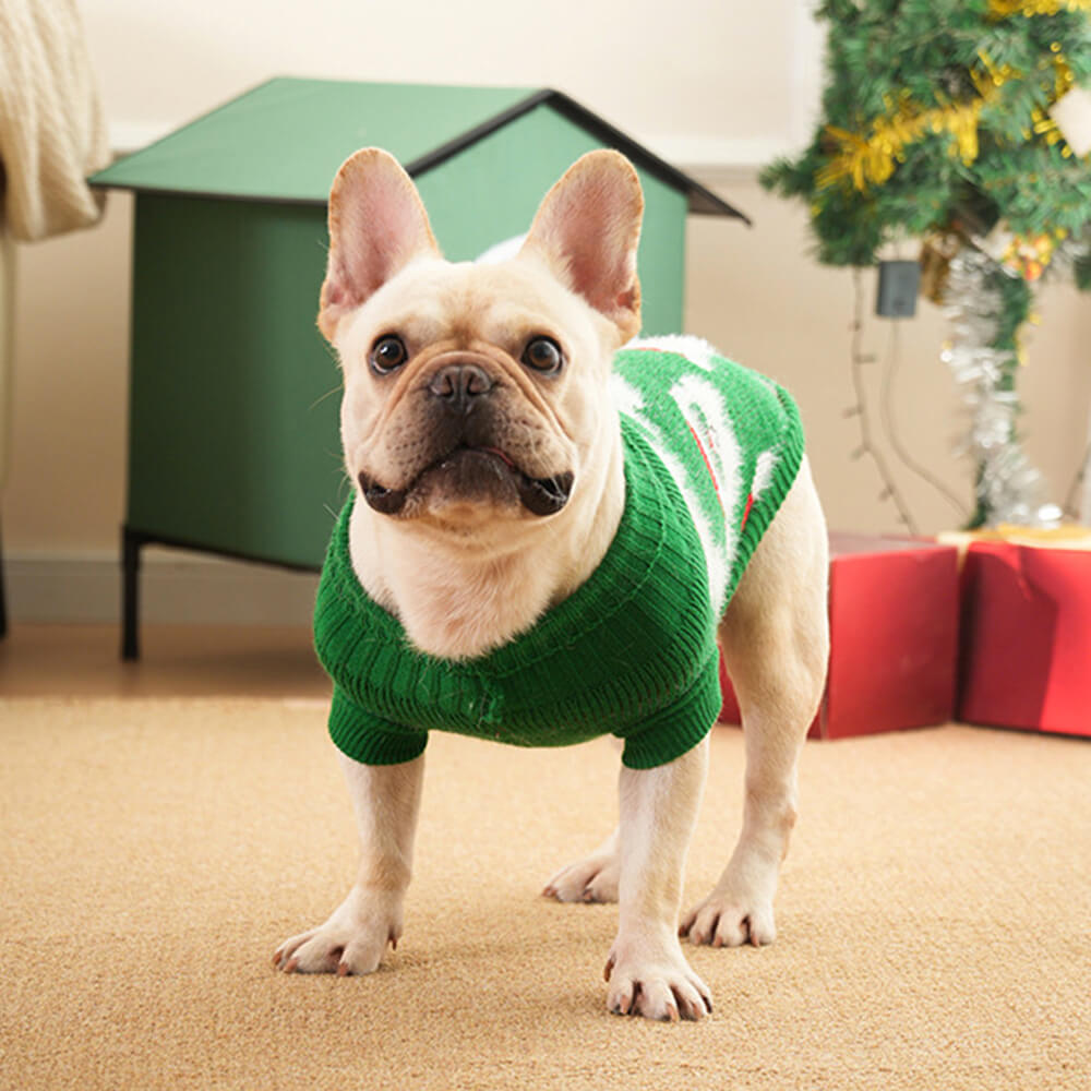 Weihnachts-Rollkragenpullover für Hunde, passender Pullover für Hunde und Besitzer