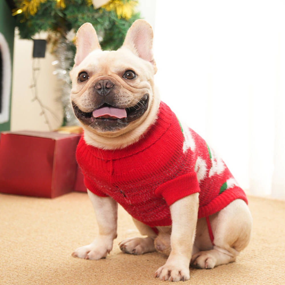 Weihnachts-Rollkragenpullover für Hunde, passender Pullover für Hunde und Besitzer