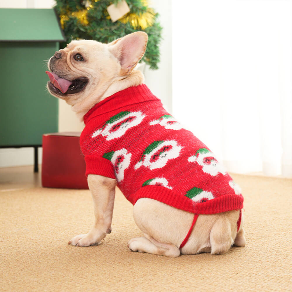 Weihnachts-Rollkragenpullover für Hunde, passender Pullover für Hunde und Besitzer