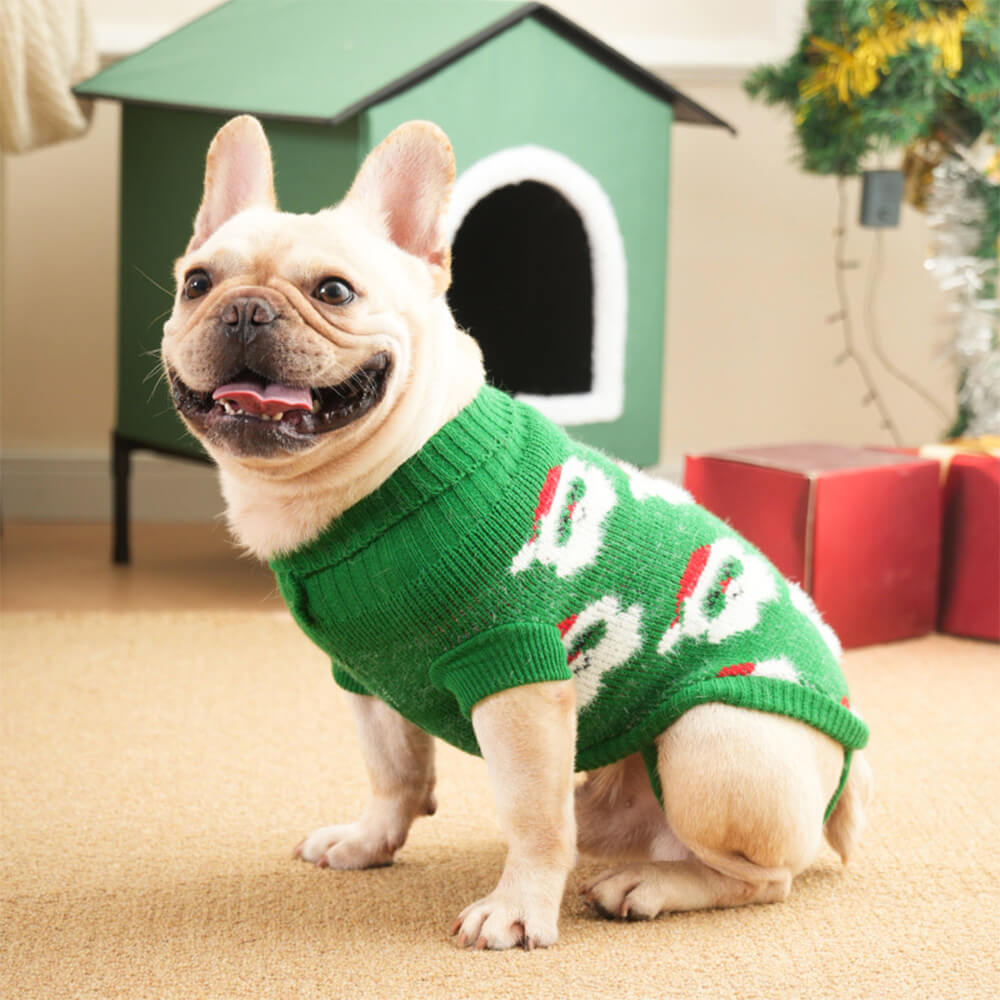 Pull de Noël en tricot à col roulé pour chien, pull assorti pour chiens et propriétaires