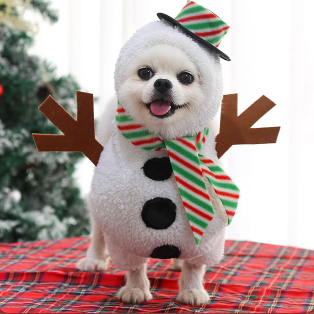 Tenue de bonhomme de neige de noël, Costume de Cosplay pour chien et chat