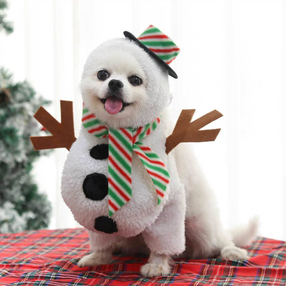 Weihnachts-Walking-Schneemann-Outfit, Cosplay-Hunde- und Katzenkostüm