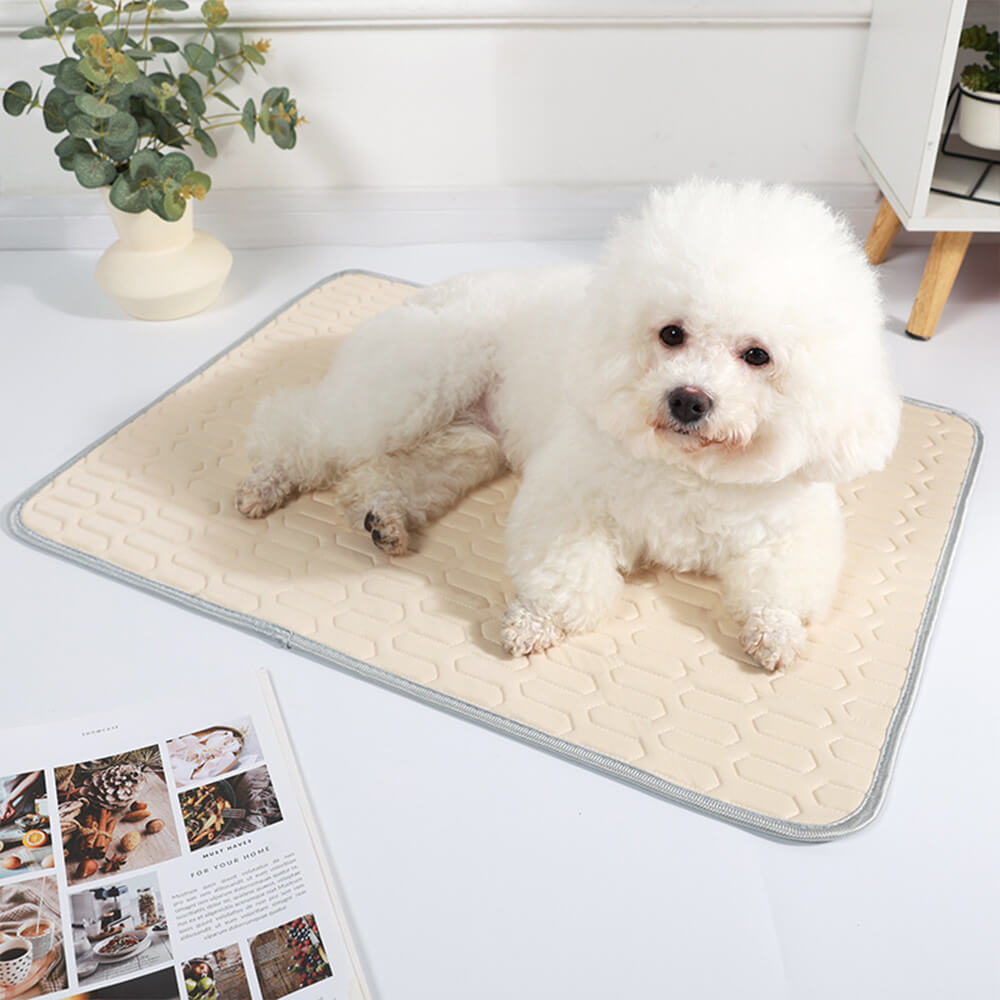 Cooling Washable Non-Slip Breathable Ice Silk Dog & Cat Mat