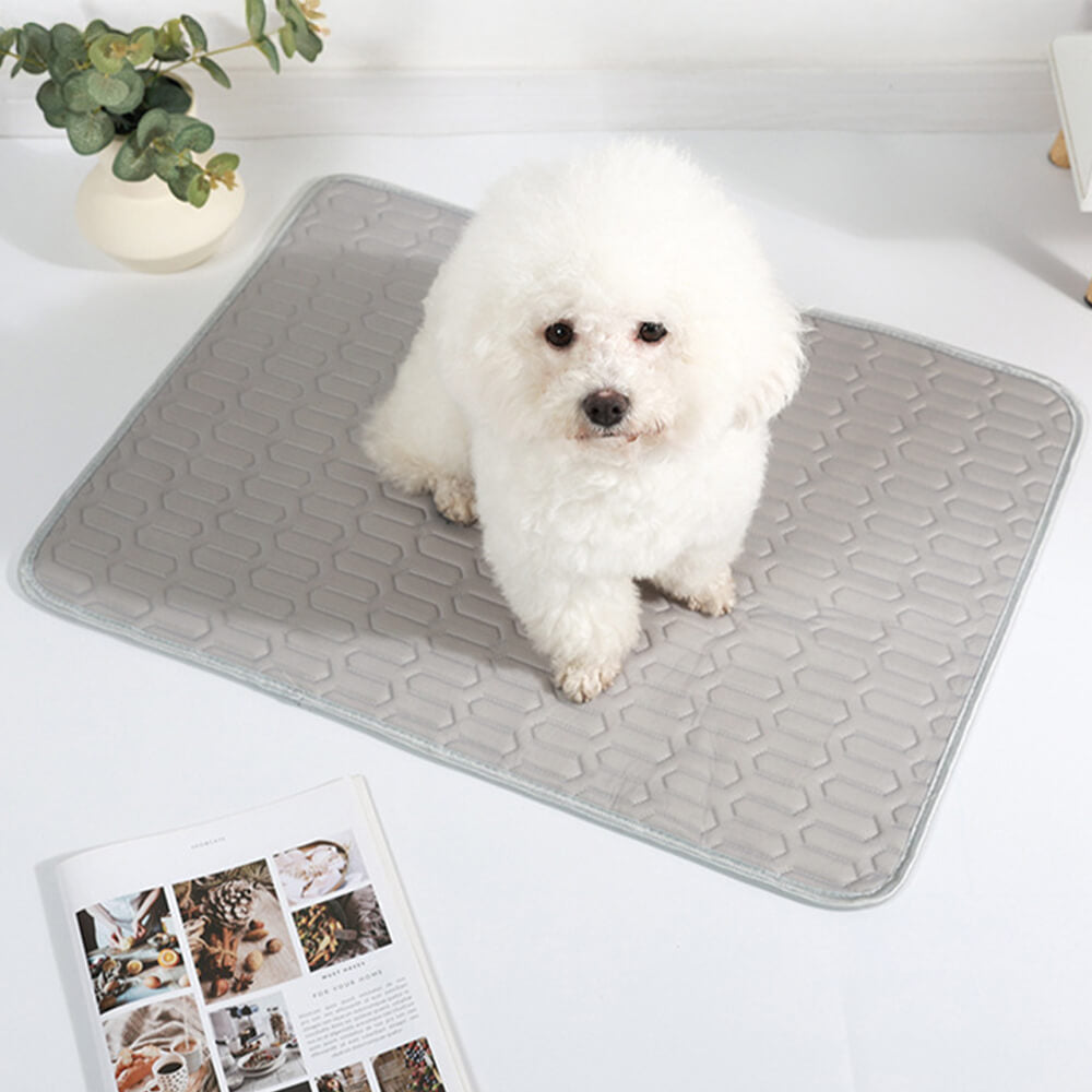 Cooling Washable Non-Slip Breathable Ice Silk Dog & Cat Mat