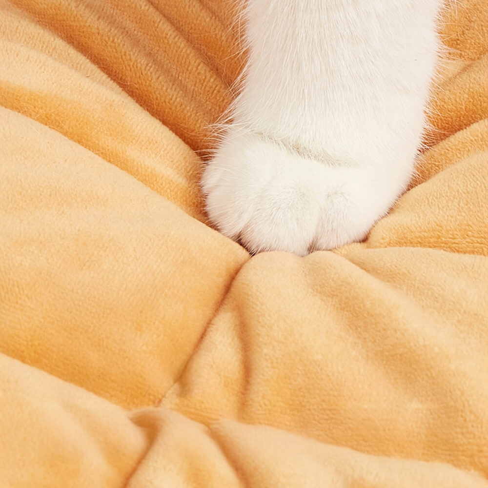 Donutförmiges, waschbares Mehrzweck-Hunde- und Katzenbett mit quietschendem Kissen