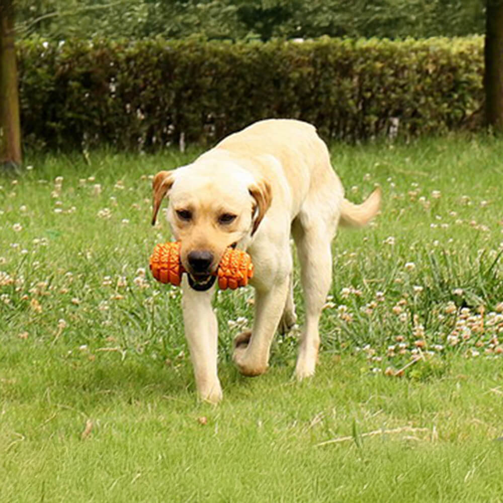 Hantel-Silikon-Slow-Feeder, langlebiges, interaktives Hundespielzeug