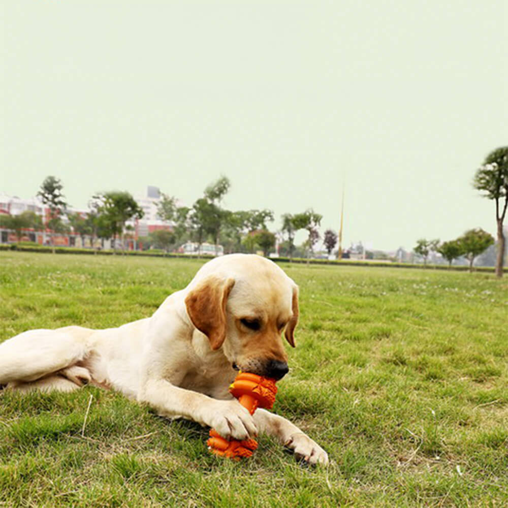 Hantel-Silikon-Slow-Feeder, langlebiges, interaktives Hundespielzeug