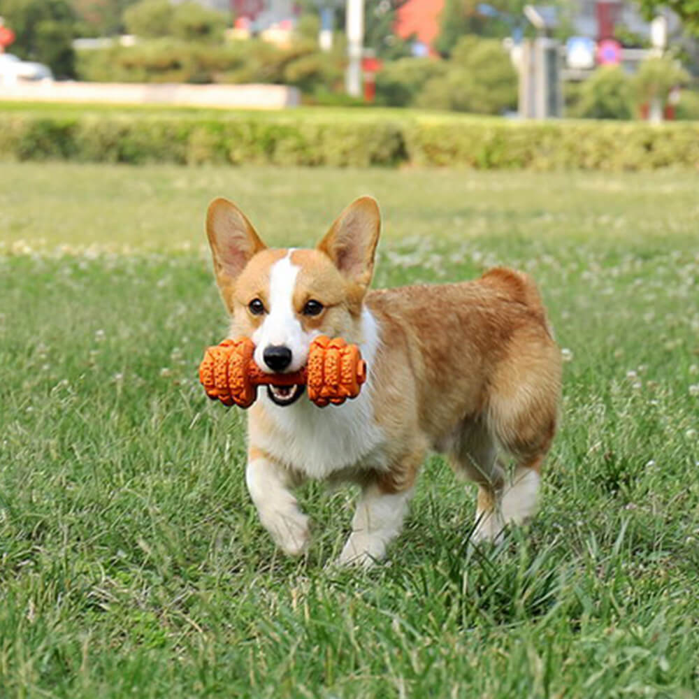 Hantel-Silikon-Slow-Feeder, langlebiges, interaktives Hundespielzeug