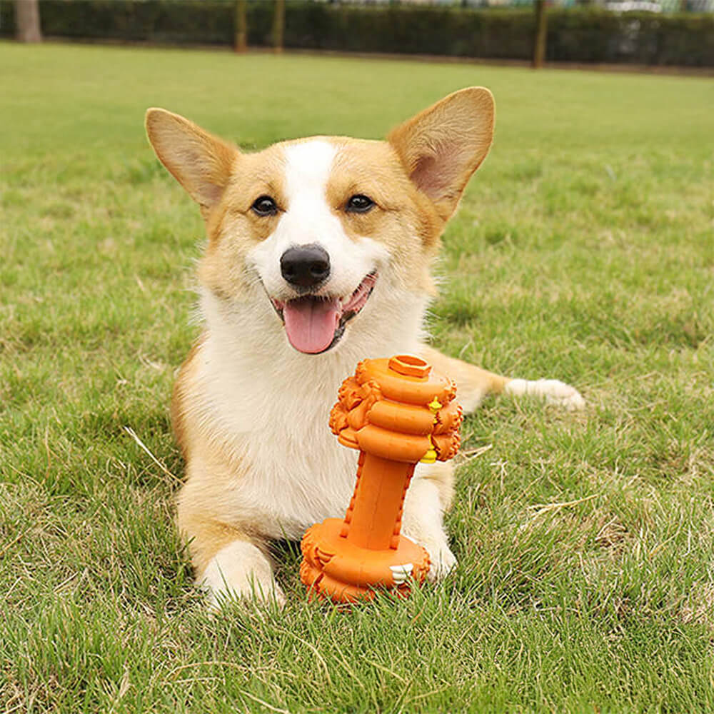 Hantel-Silikon-Slow-Feeder, langlebiges, interaktives Hundespielzeug