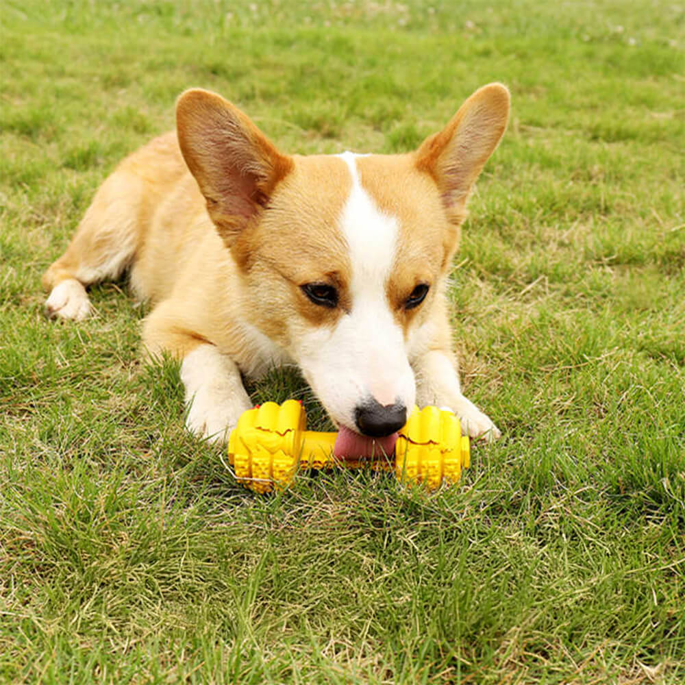 Dumbbell Silicone Slow Feeder Durable Interactive Dog Toy