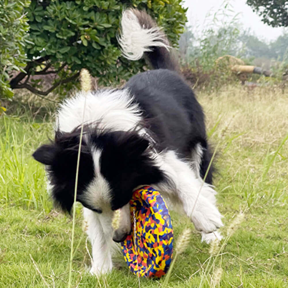 Jouet camouflage Durable pour chien, corde résistante à la mastication, série de jouets d'eau flottants