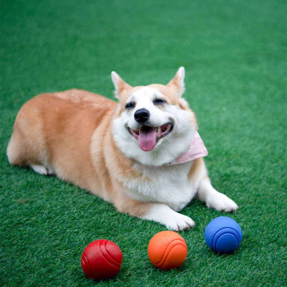 Elastischer, quietschender Ball, schwimmender Wasserball, Kauspielzeug für Hunde