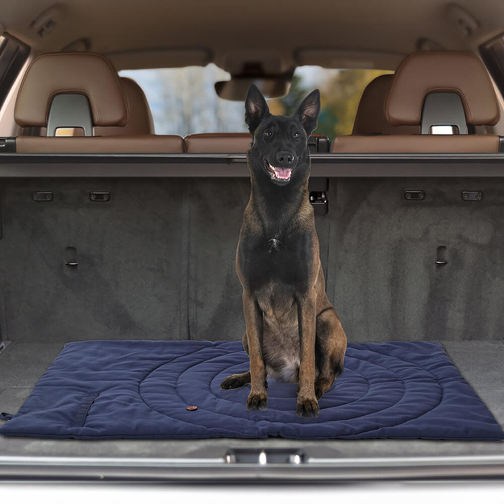 Tapis de siège de voiture portable et pliable pour chien, tapis de camping pour chien