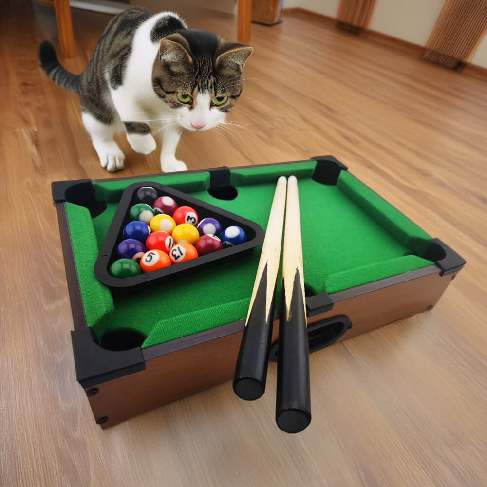 Jeu de billard de table interactif amusant Playtime