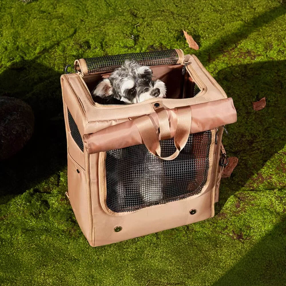 Sac à dos de transport pour animaux de compagnie, grand espace, maille respirante, imperméable, voyage