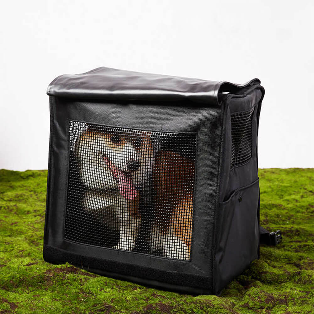 Sac à dos de transport pour animaux de compagnie, grand espace, maille respirante, imperméable, voyage