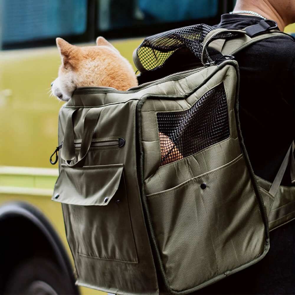 Sac à dos de transport pour animaux de compagnie, grand espace, maille respirante, imperméable, voyage