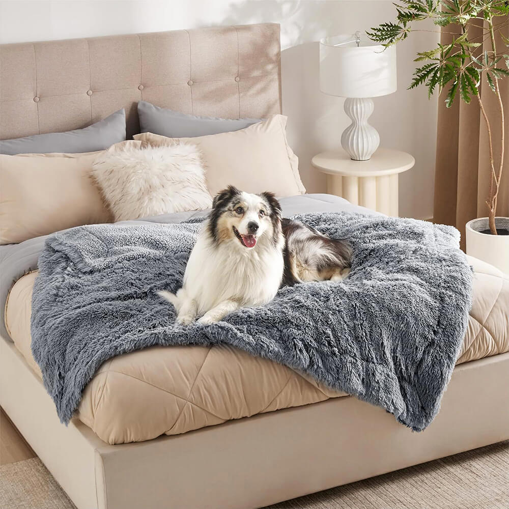 Couverture luxueuse et imperméable pour chien, en peluche, chaude, polyvalente, pour la maison