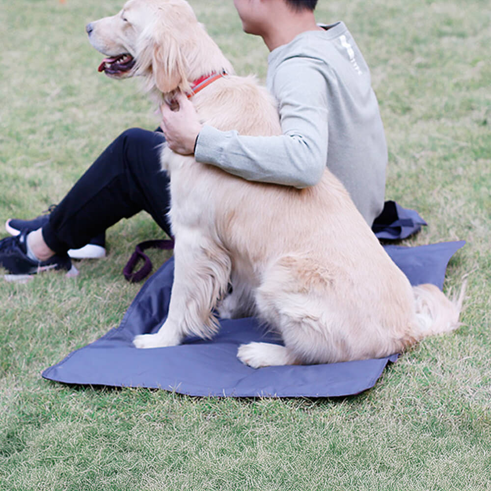 Tapis pour chien imperméable toutes saisons réversible multifonctionnel