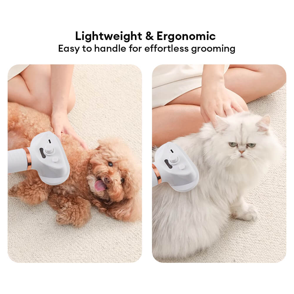 Multifunctional Combing Brush Pet Hair Dryer with Steam