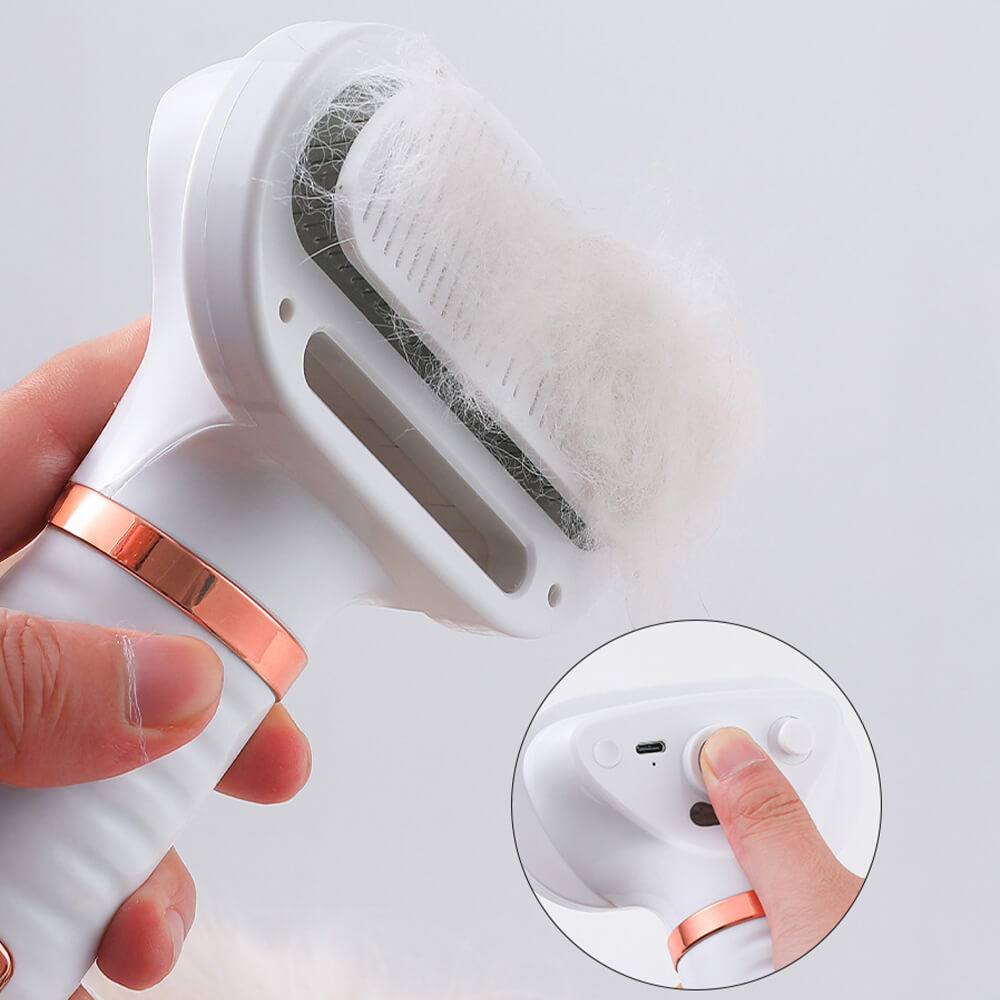 Multifunctional Combing Brush Pet Hair Dryer with Steam