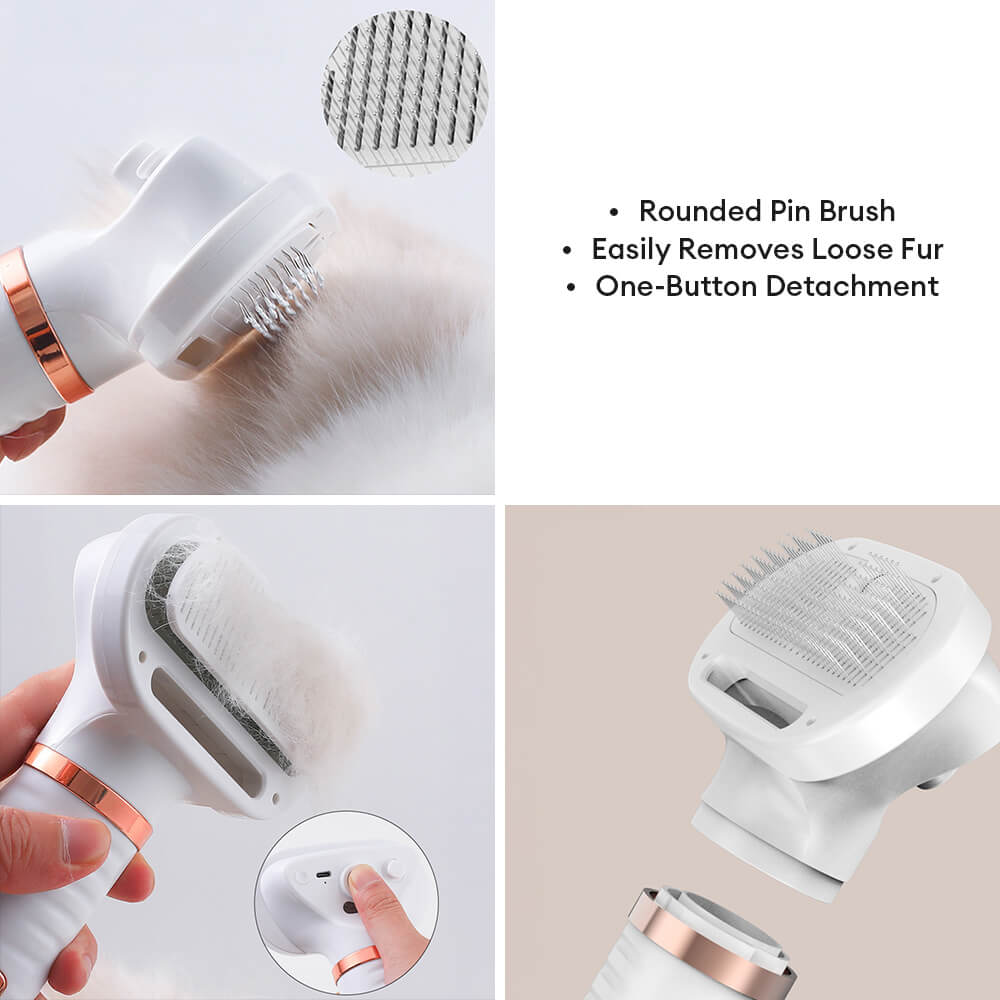 Multifunctional Combing Brush Pet Hair Dryer with Steam