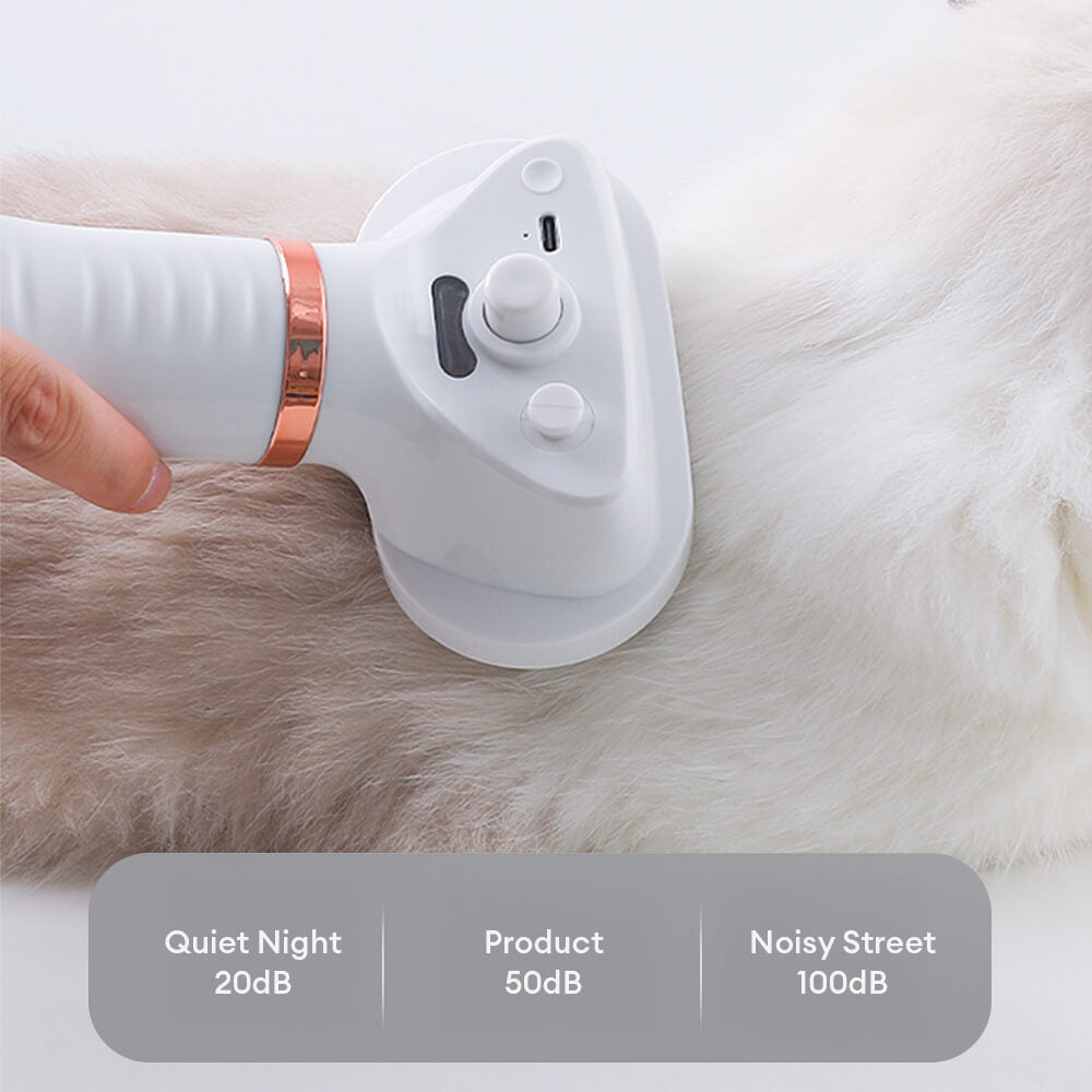 Multifunctional Combing Brush Pet Hair Dryer with Steam