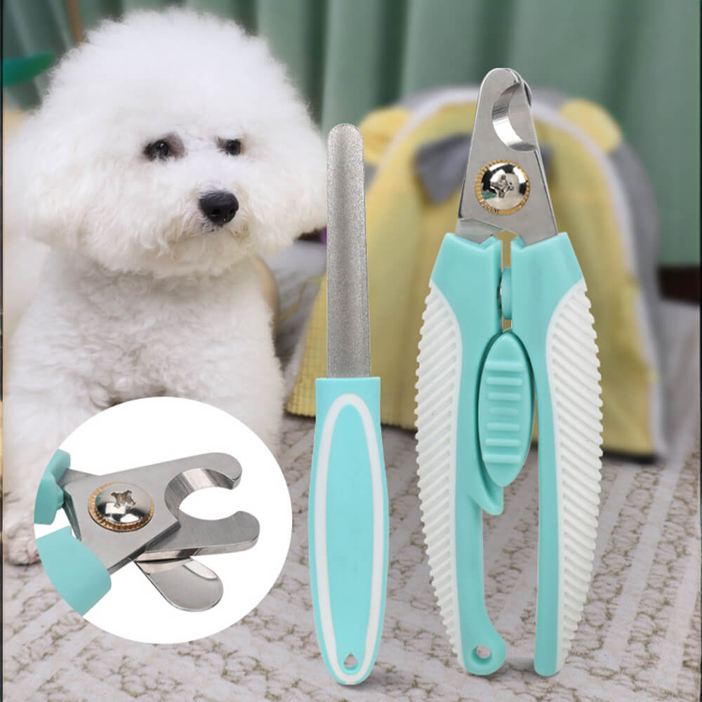 Kit de soins professionnels, ensemble complet d'outils de toilettage pour animaux de compagnie