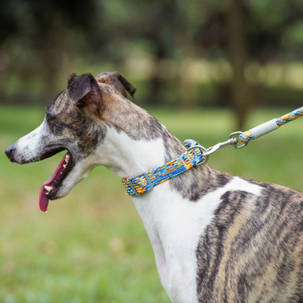 Collier et laisse pour chien anti-traction réglables à tissage réfléchissant