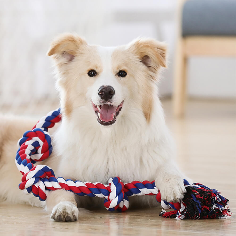 Jouet interactif pour chien remorqueur à nœud de corde