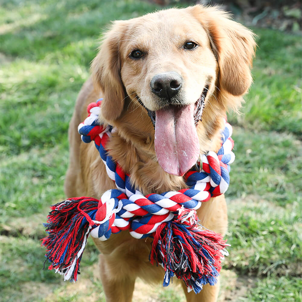 Juguete interactivo para perros con nudo de cuerda