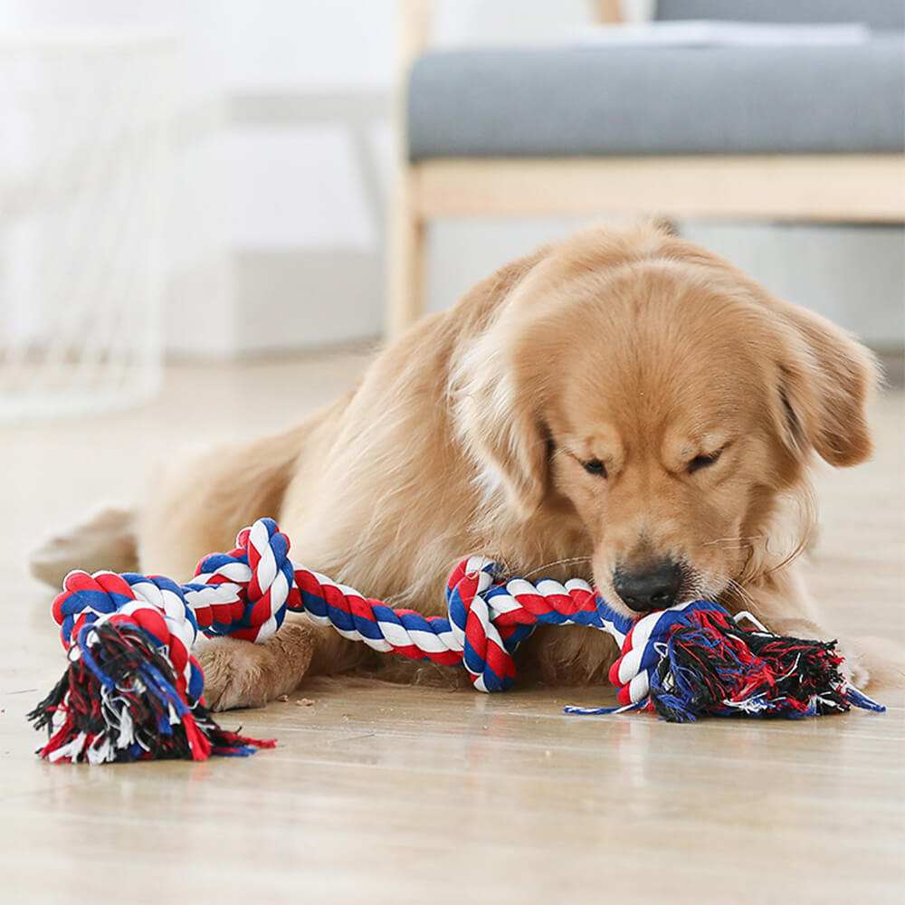 Interaktives Hundespielzeug mit Seilknotenschlepper