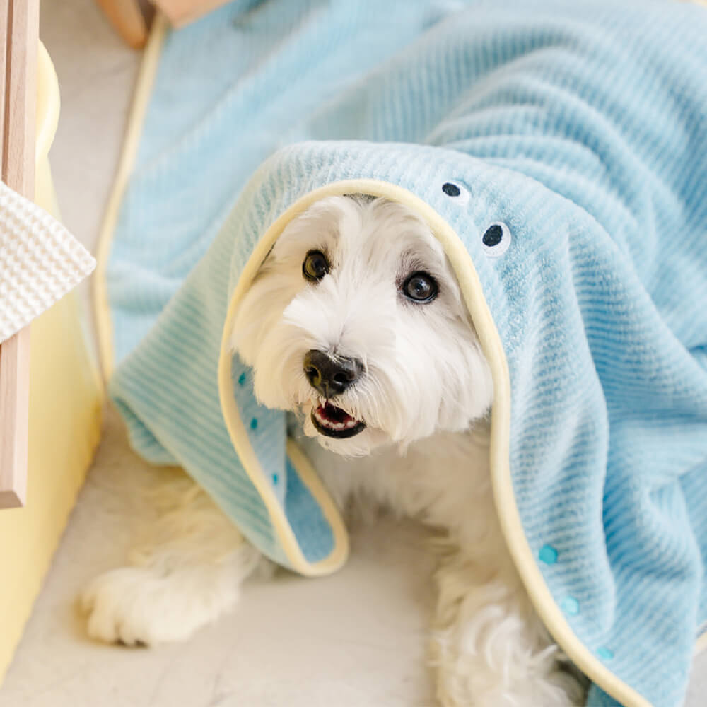 Serviette de bain absorbante à rayures douces pour chien à séchage rapide