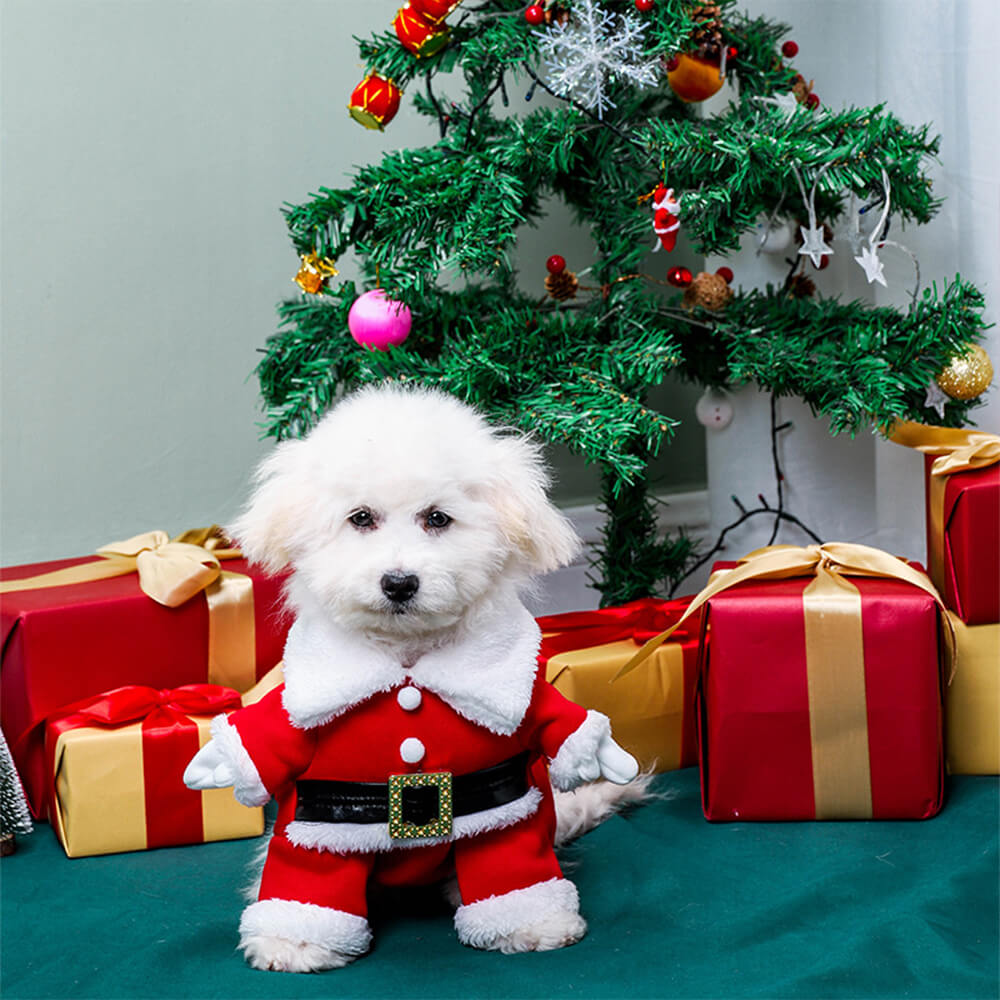 Tenue de père noël stéréoscopique, chapeau, Costume de chien Cosplay