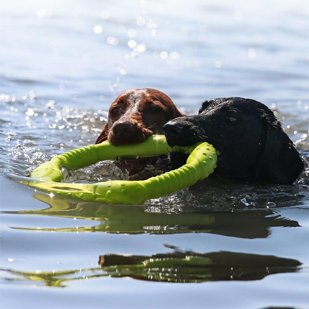 War Ring Jouet interactif pour chien durable, imperméable, léger et flexible