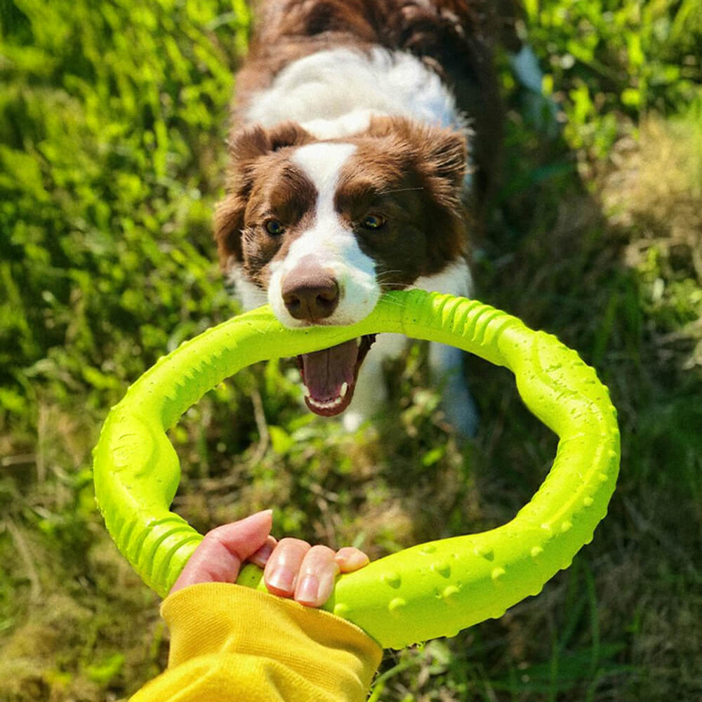 War Ring Langlebiges, wasserdichtes, leichtes, flexibles, interaktives Hundespielzeug