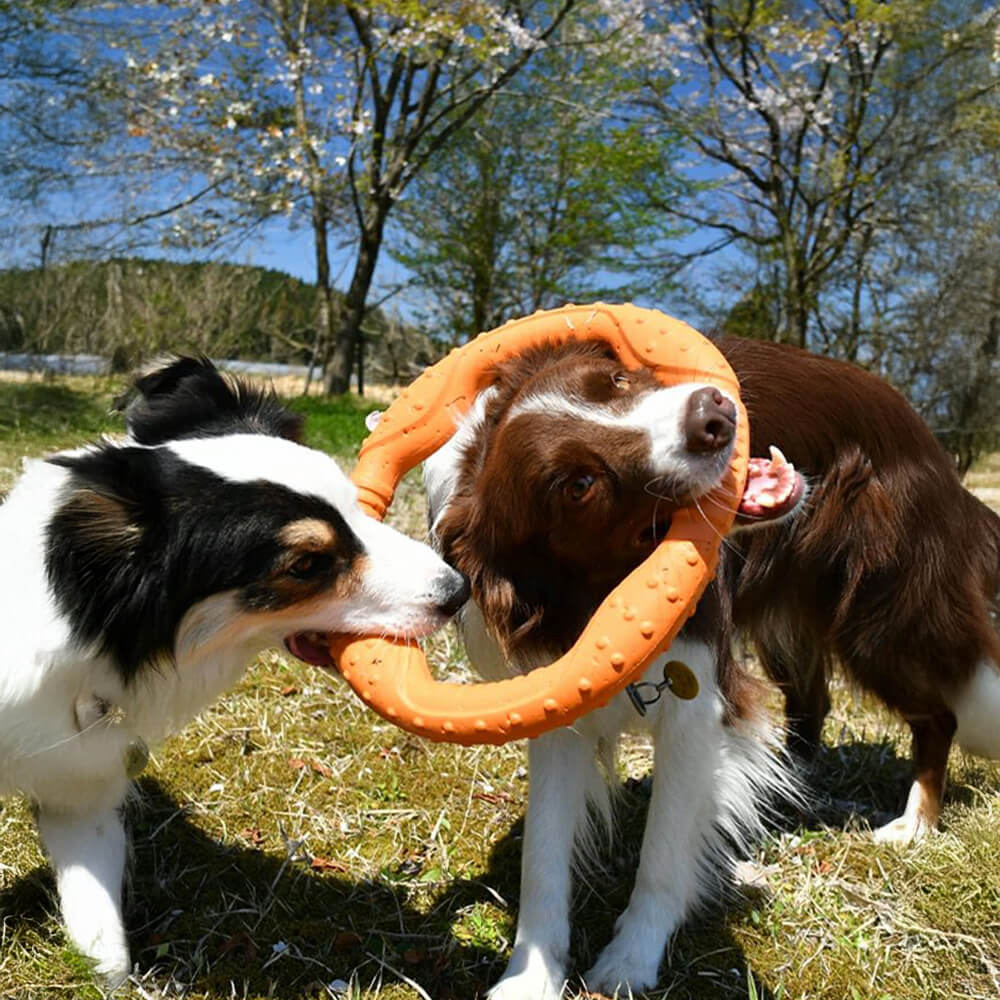 War Ring Jouet interactif pour chien durable, imperméable, léger et flexible