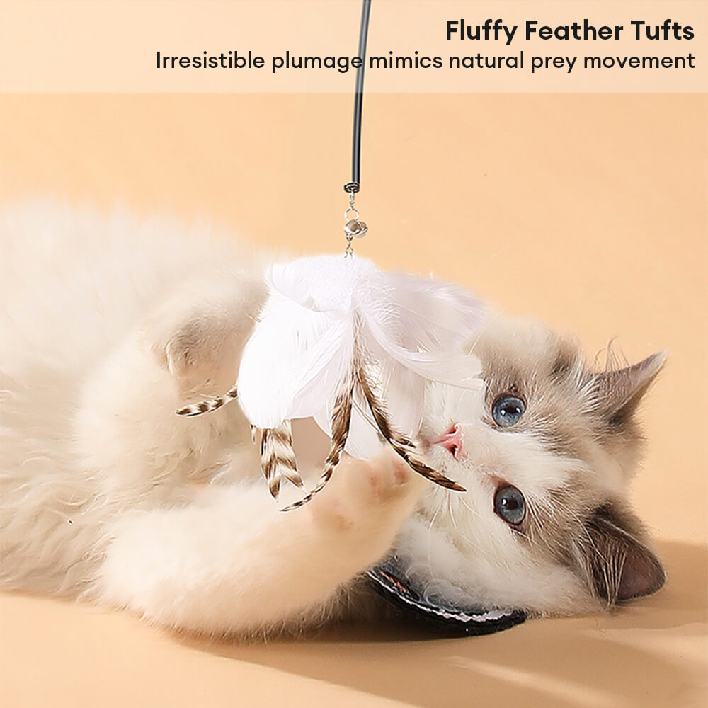 Suction Cup Interactive Feather Teaser Cat Toy