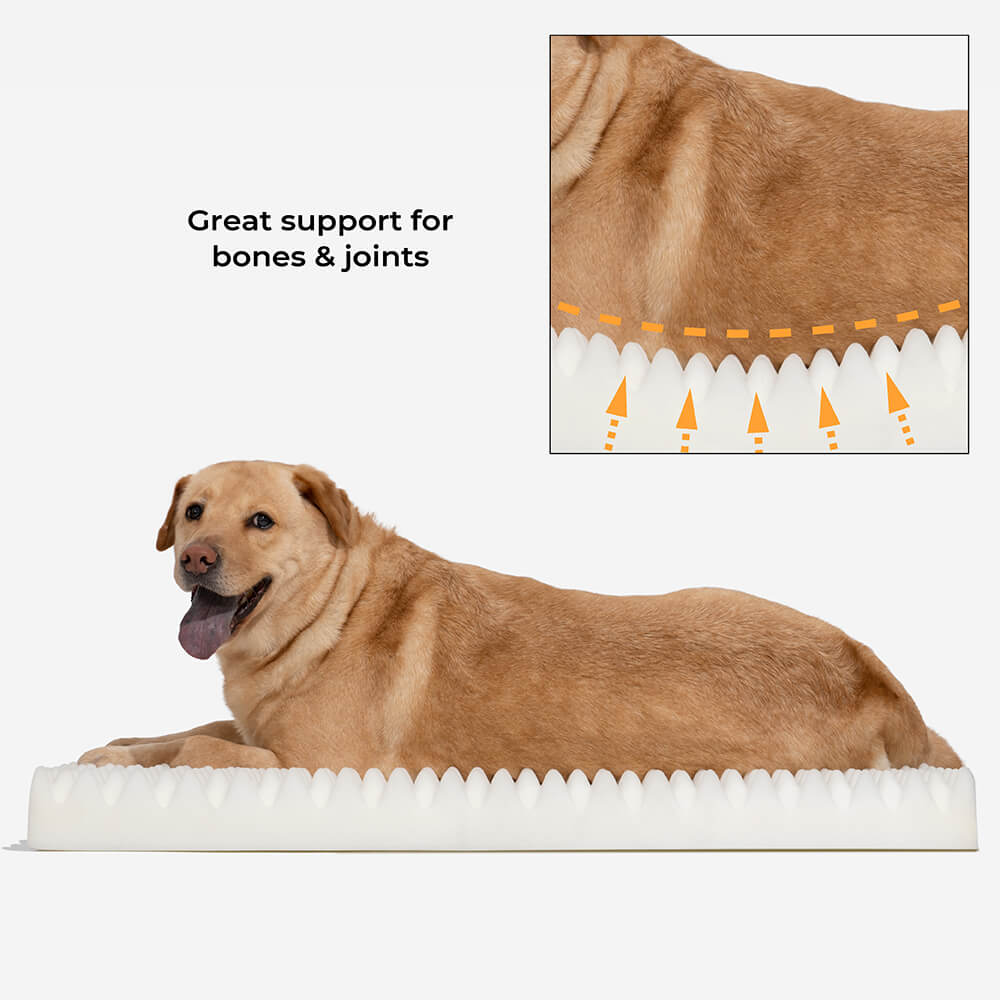 Cama grande para perros grande y esponjosa de lujo con soporte completo para aliviar la ansiedad