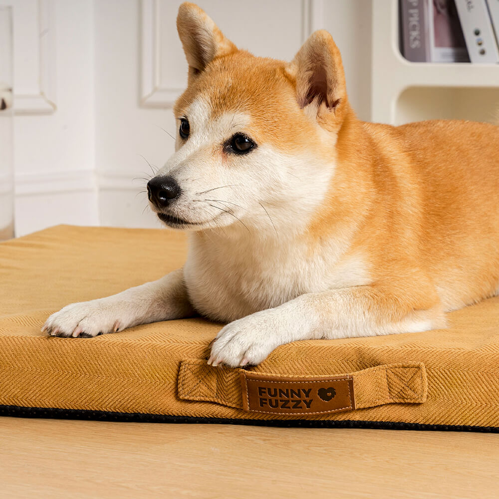 Cama ortopédica portátil para perros con soporte de espuma