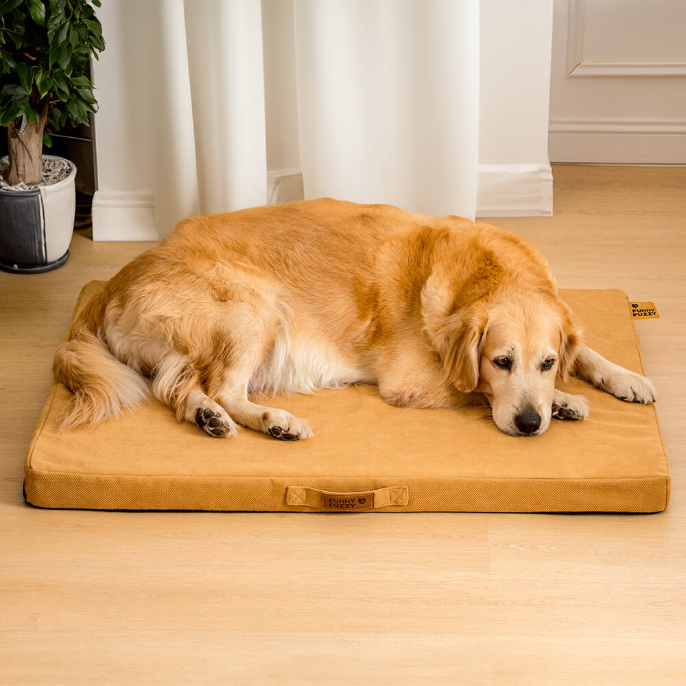 Cama ortopédica portátil para perros con soporte de espuma